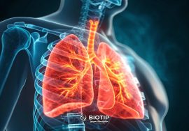 solunum cihazlarında 7/24 teknik desteğin önemi