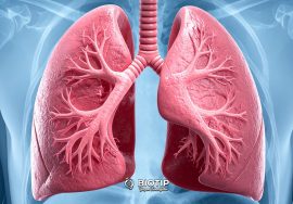 Solunum Cihazı Temizliği ve Filtre Değişimi- Grip Mevsiminde Neden Hayati Önem Taşır?